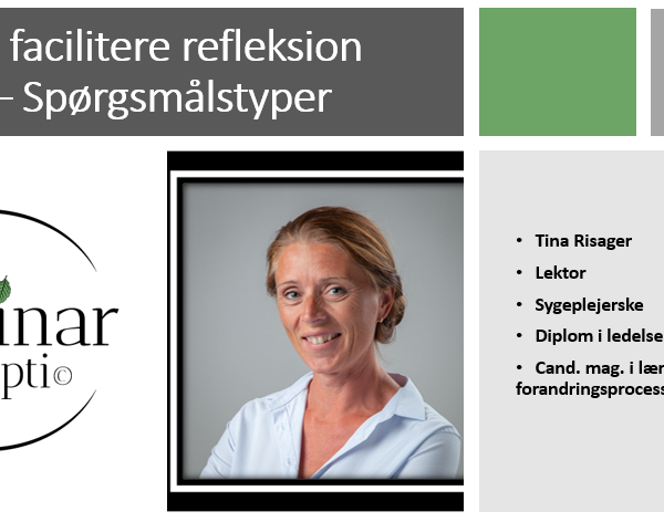 At facilitere refleksion – spørgsmålstyper