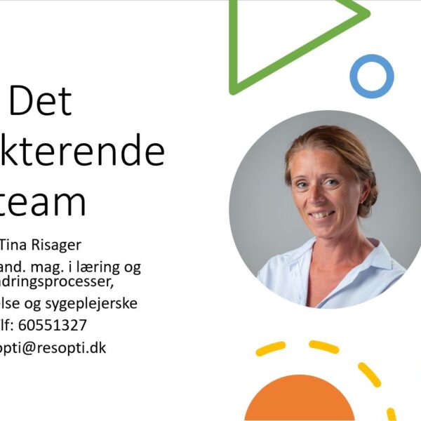 Det reflekterende team